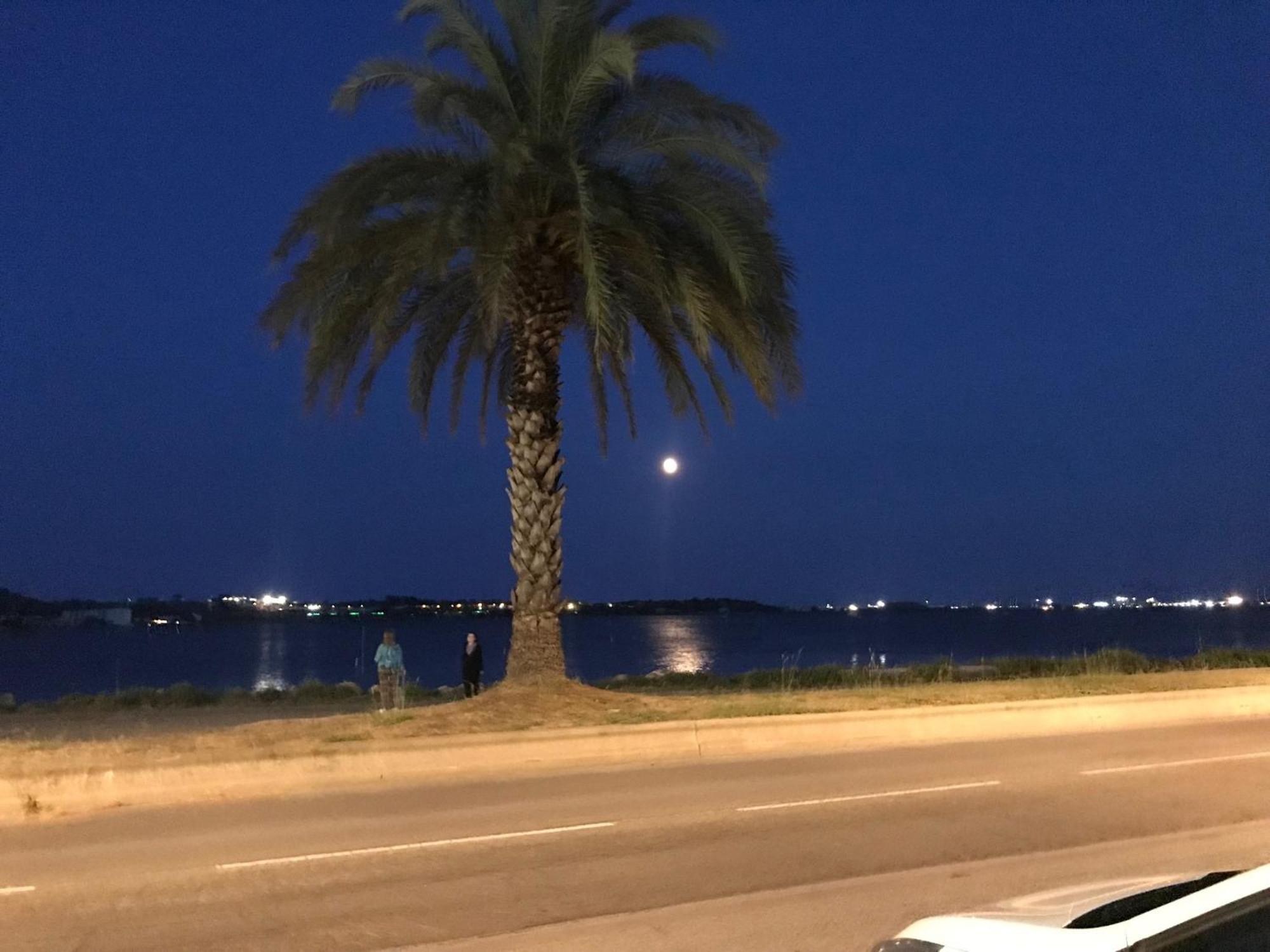 شقة La Largatera فرونتينيان المظهر الخارجي الصورة